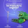 3203.jpeg